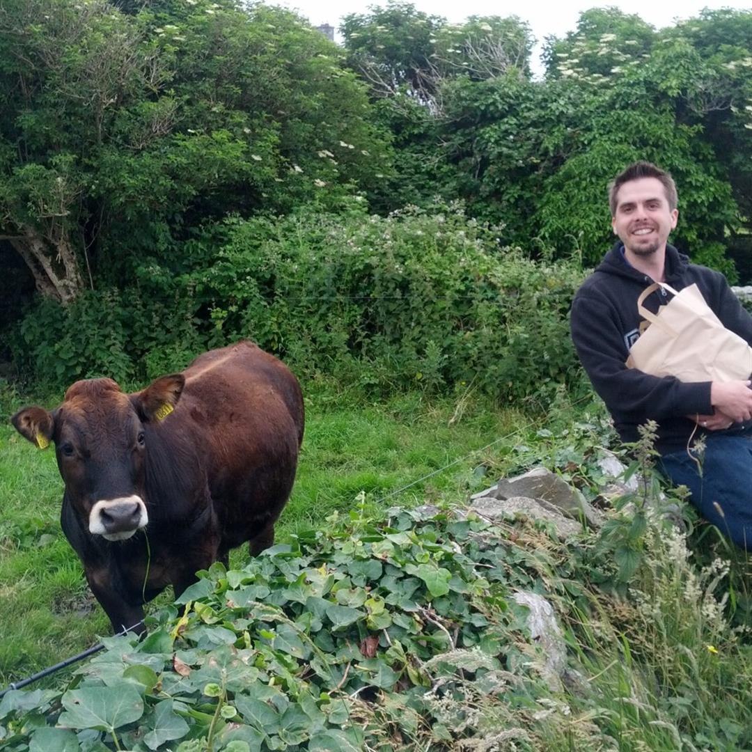 Buy some beer and say hi to the cows on the walk back... 