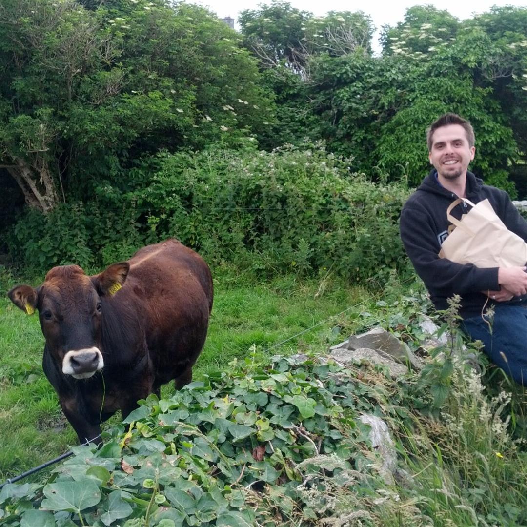 Buy some beer and say hi to the cows on the walk back...