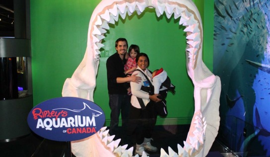 Ripley’s Aquarium of Canada with a Toddler