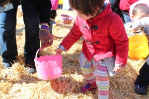 centreville island, centreville park, toddler toronto 