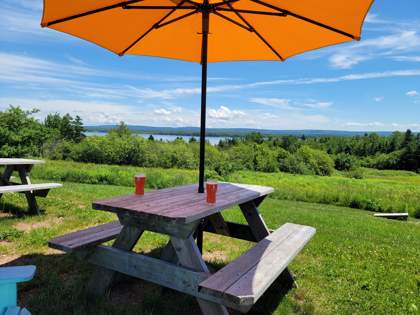 Big Spruce brewery patio