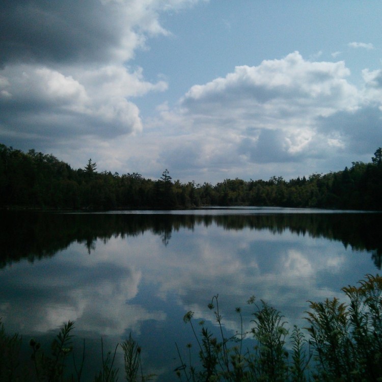 Crawford Lake