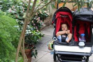 IMG_9140 (Custom)