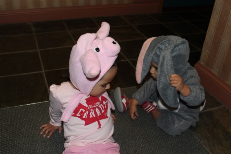 toddler pig costume, pig hat, peppa pig