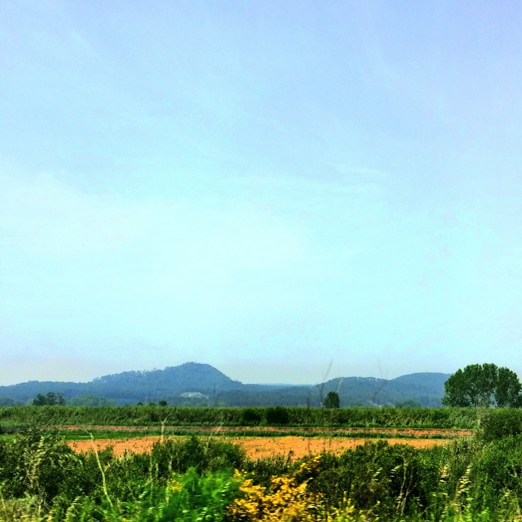Driving in Portugal #MurphysDoPortugal