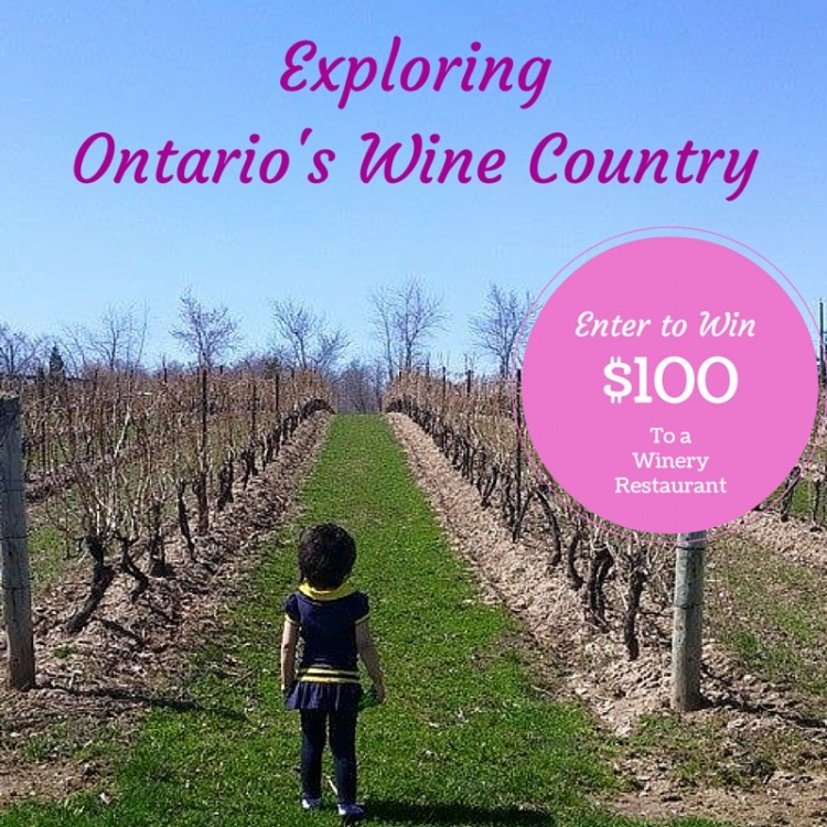 wine country ontario contest