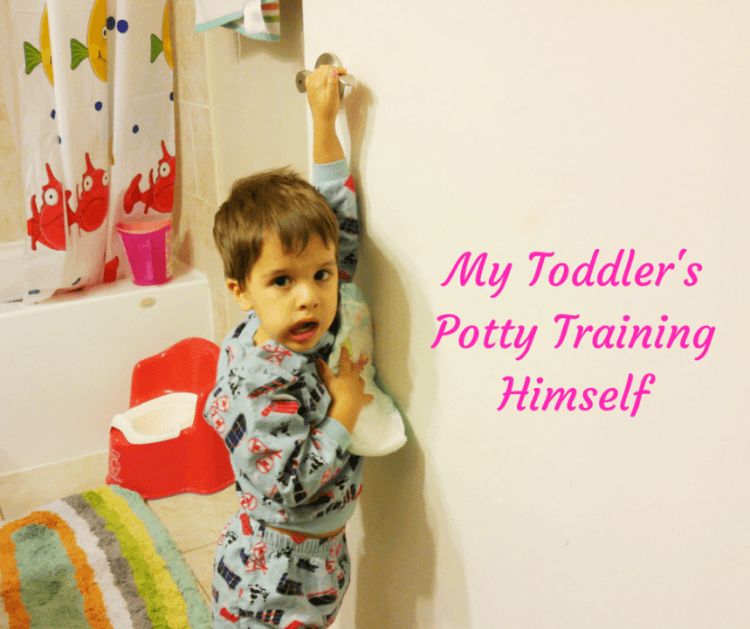 My Toddler's Potty Training Himself (Custom)