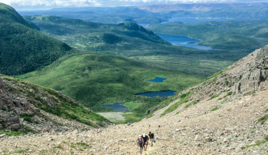 Climbing Gros Morne Mountain