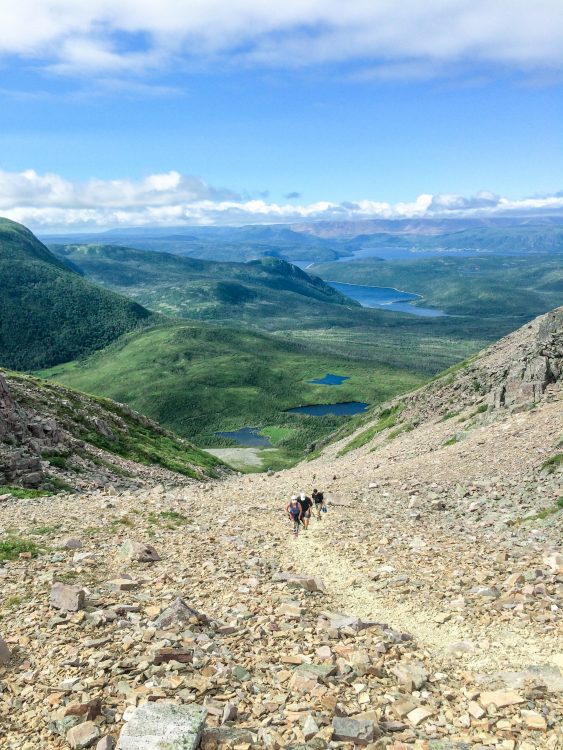 Climbing Gros Morne Mountain