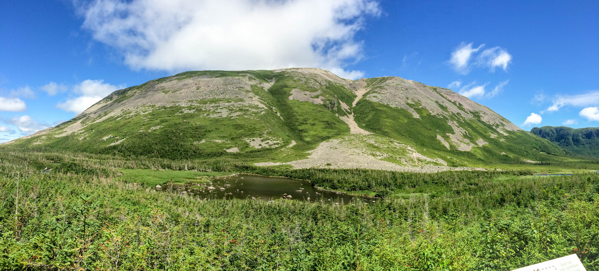 View of Gros Morne Mountain