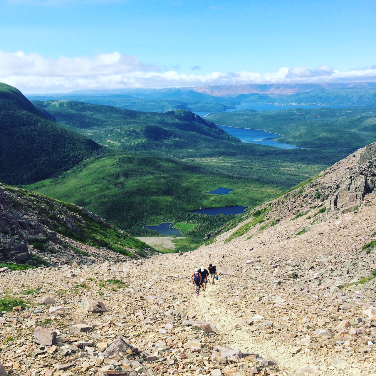 Gros morne best best sale hikes