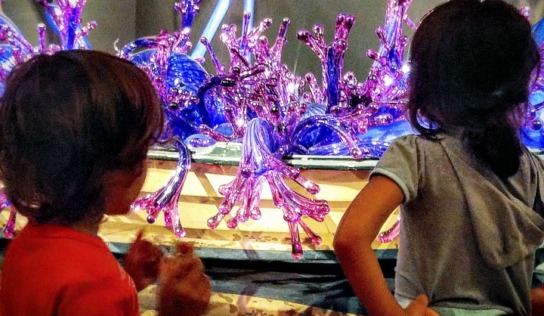 The ROM & Chihuly With Young Kids