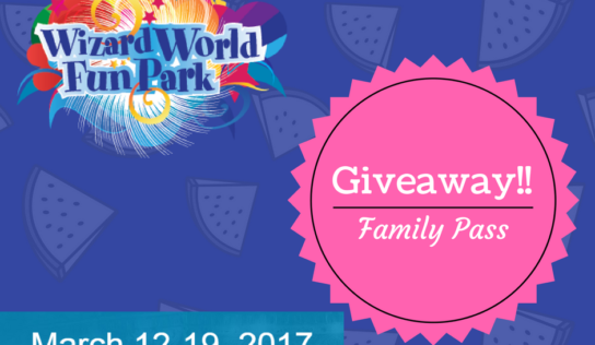 Wizard World Fun | Giveaway