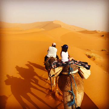 Camel Riding Tips for Desert Adventures (and Dummies)