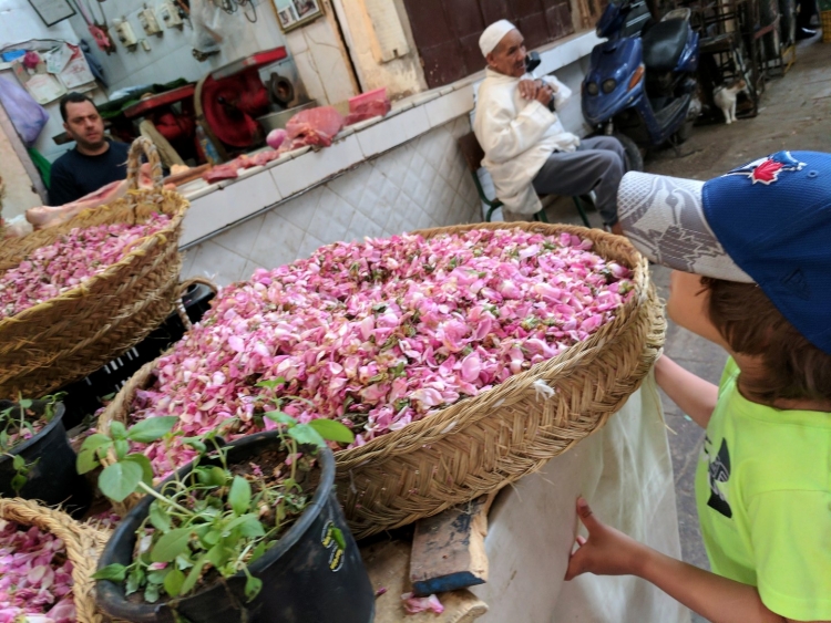 Fes medina with kids