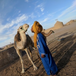 what to do in the desert morocco 