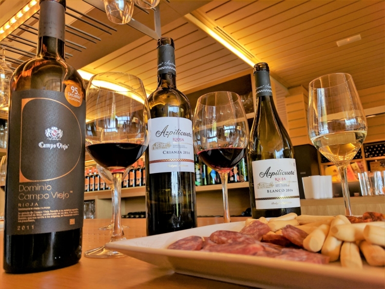 how to visit campo viejo winery tour