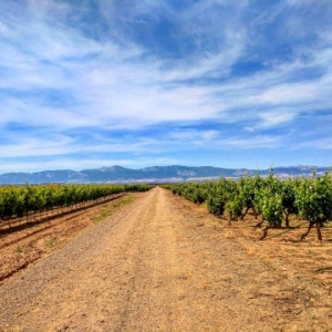 LA Rioja with kids