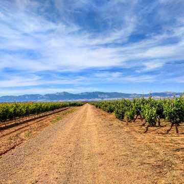 La Rioja With Kids #MurphysDo148Days