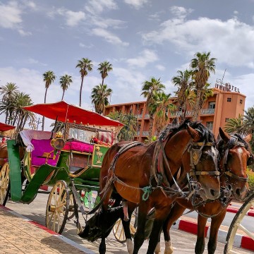 A Weekend in Marrakech With Kids