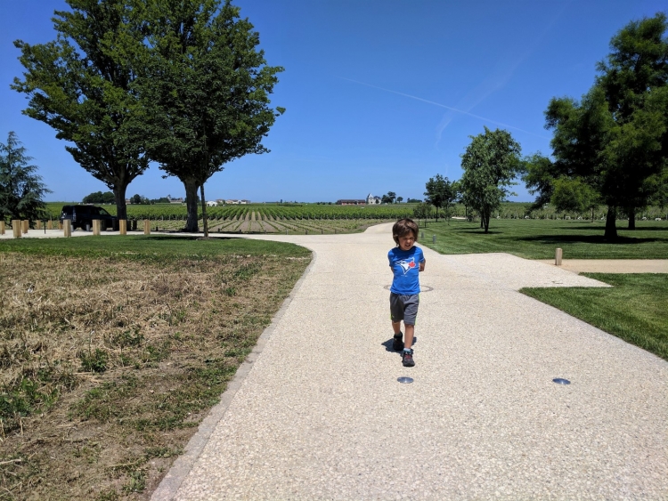 Bordeaux winery with kids