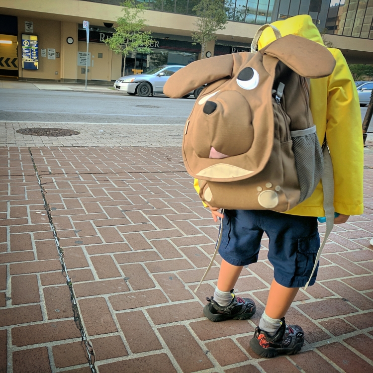 Toronto junior kindergarten experience