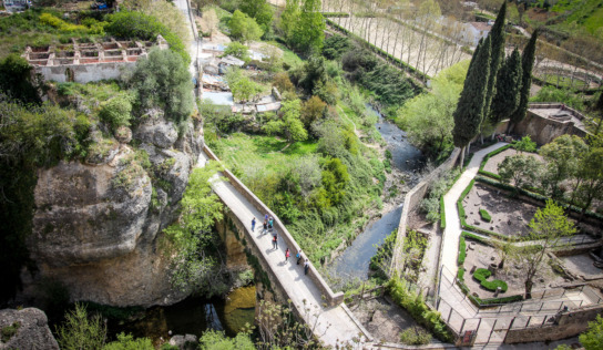 20 Great Pictures from Ronda, Spain