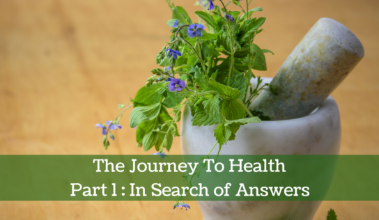 The Journey To Health | Part 1 : In Search of Answers