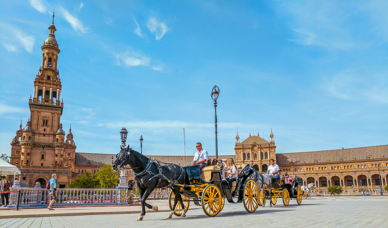 Plaza de España Horse
