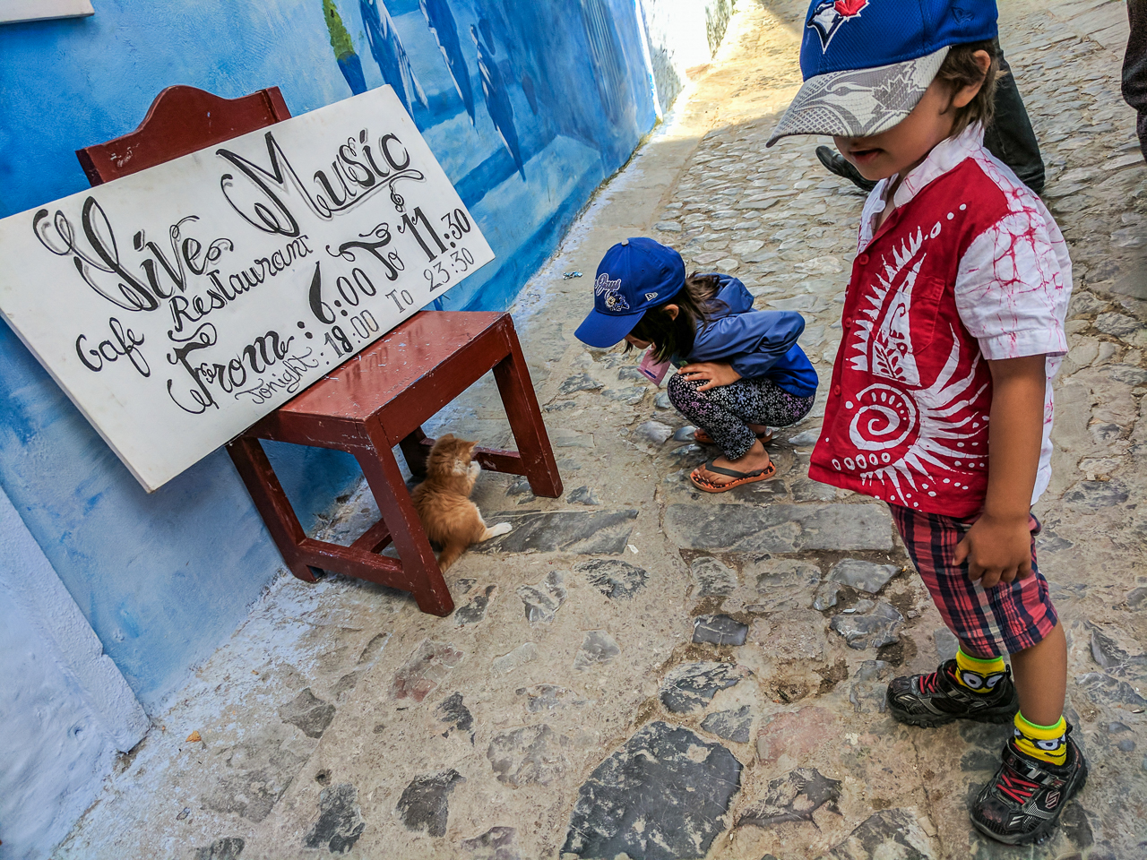 Chefchaouen Stray Cats