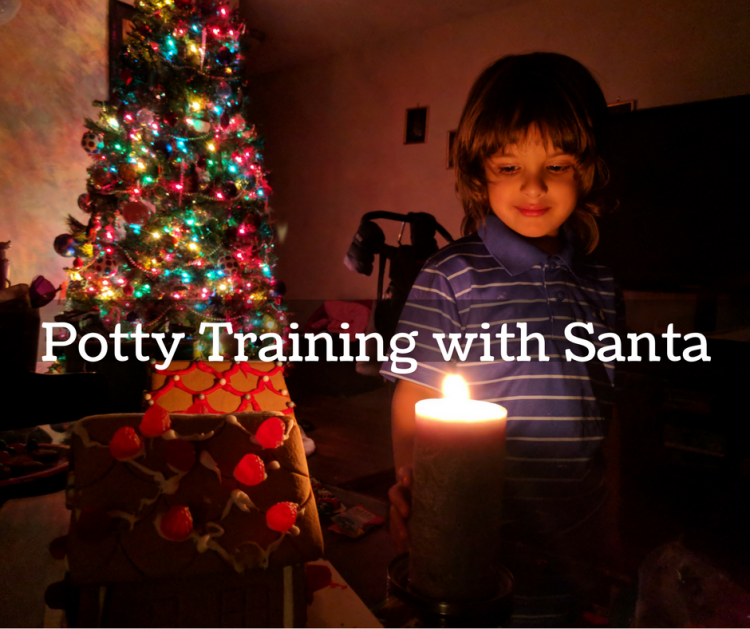 Potty Training with Santa