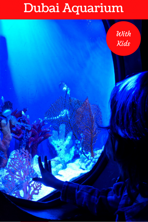 Dubai aquarium with kids