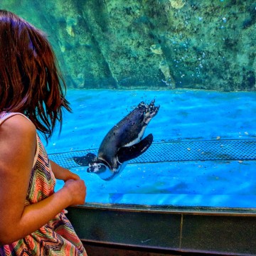 Dubai Aquarium and Underwater Zoo with Kids #MurphysDoDubai