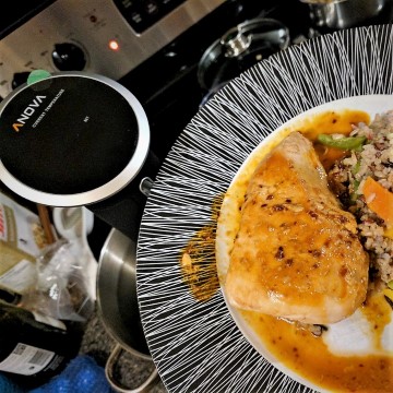Gourmet Meals with the Anova Precision Cooker | Review