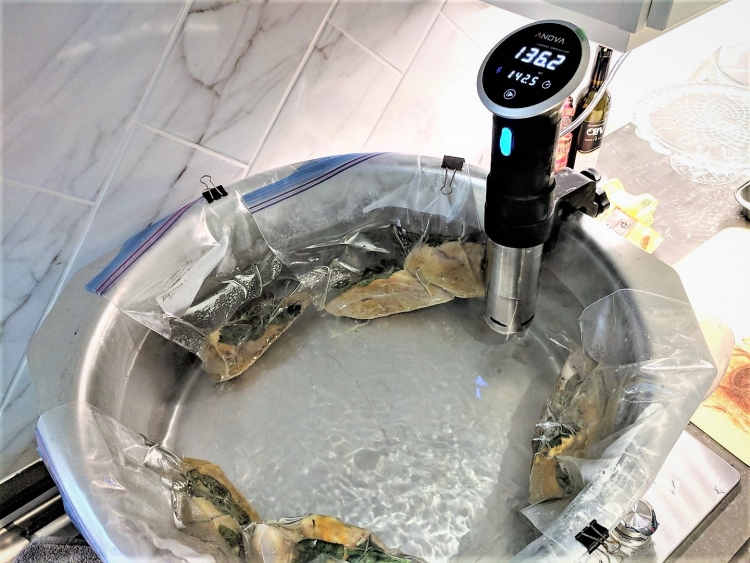 anova sous vide review