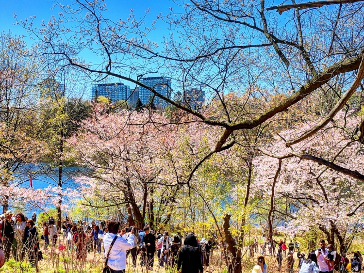 Things to do Toronto HIgh PArk with kids