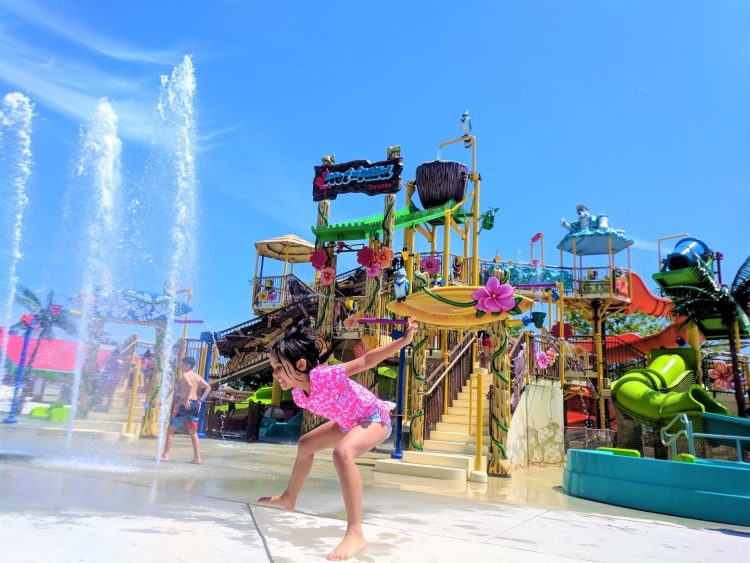 wet n wild toronto small kids