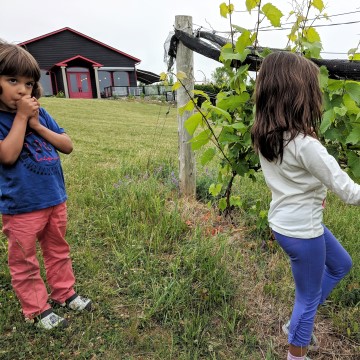 Coffin Ridge Winery with Kids #ColourItYourWay