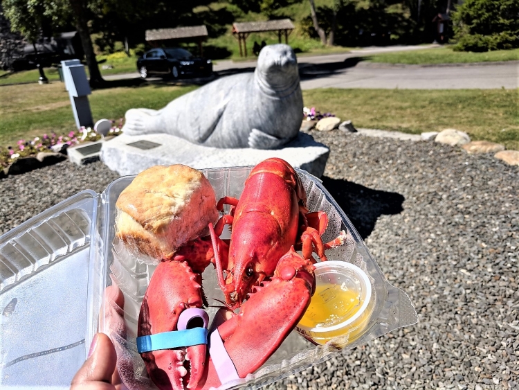 Maine lobster, where to eat lobster in Maine 