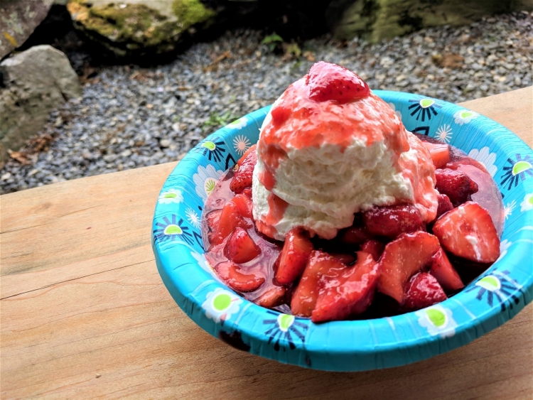 beth's maine strawberry shortcake