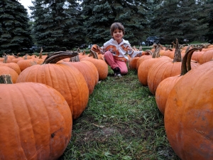 best farm for pumpkins in ottawa, fall fun for kids in ottawa