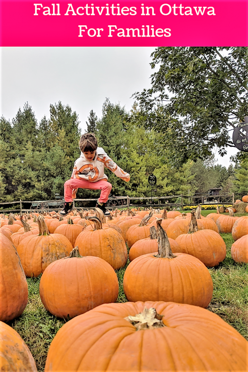 Fun things to do in the fall with kids in Ottawa