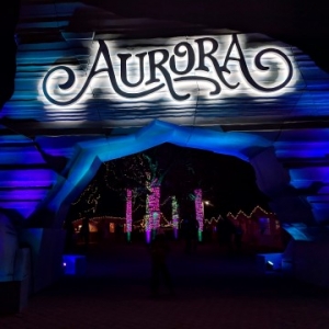 review of Aurora winter festival Toronto