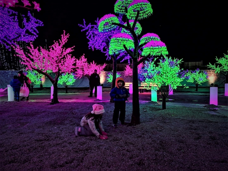 review of Aurora winter festival Toronto with kids