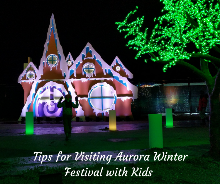 Tips for visiting AUrora winter festival with young kids 