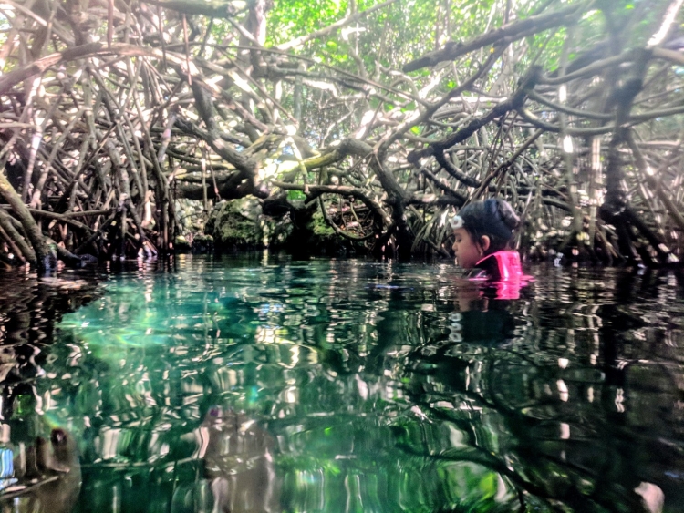 Xcaret park with young kids