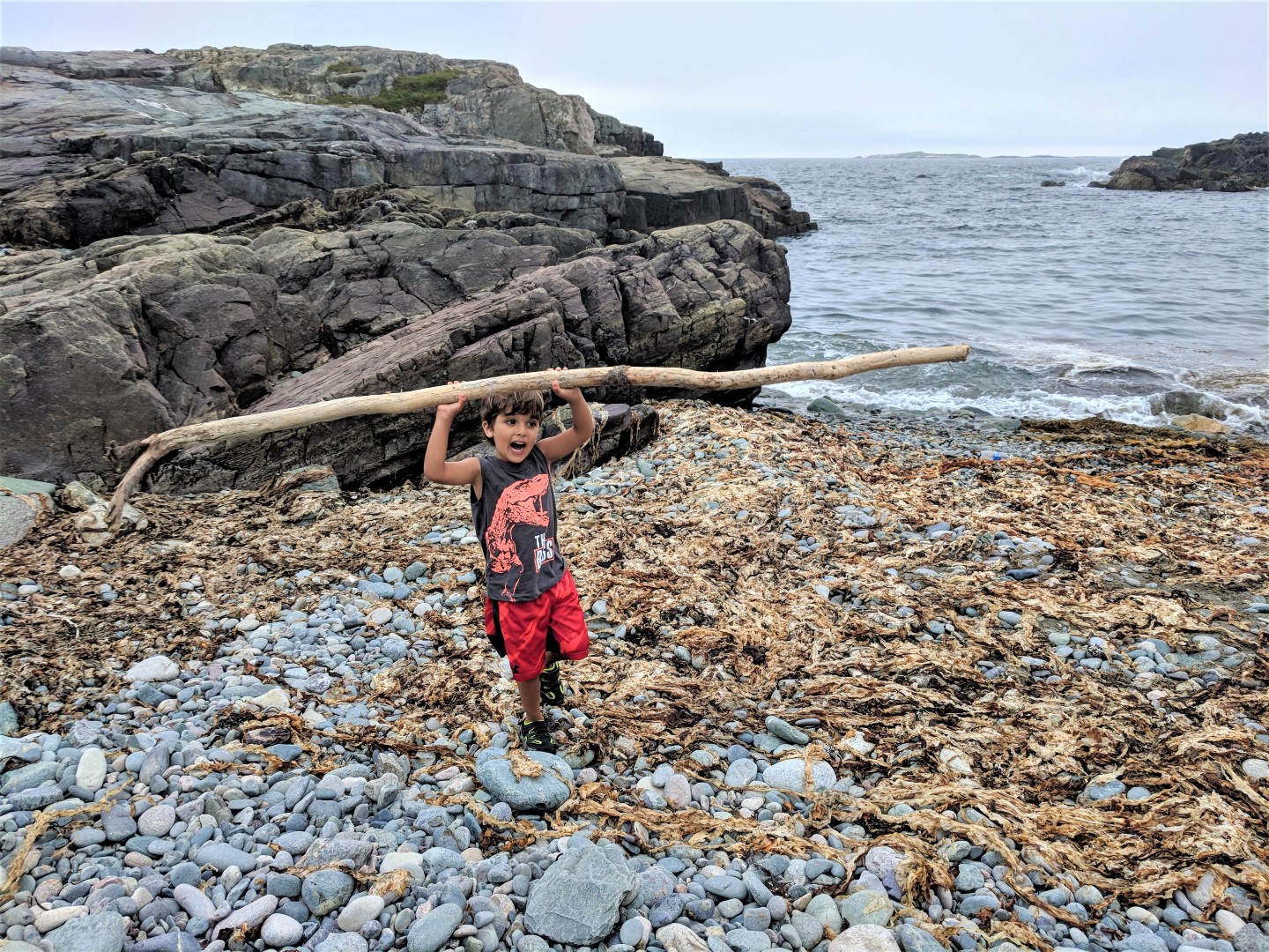 louisbough beach, louisbourg fortress with kids, day trips from sydney ns