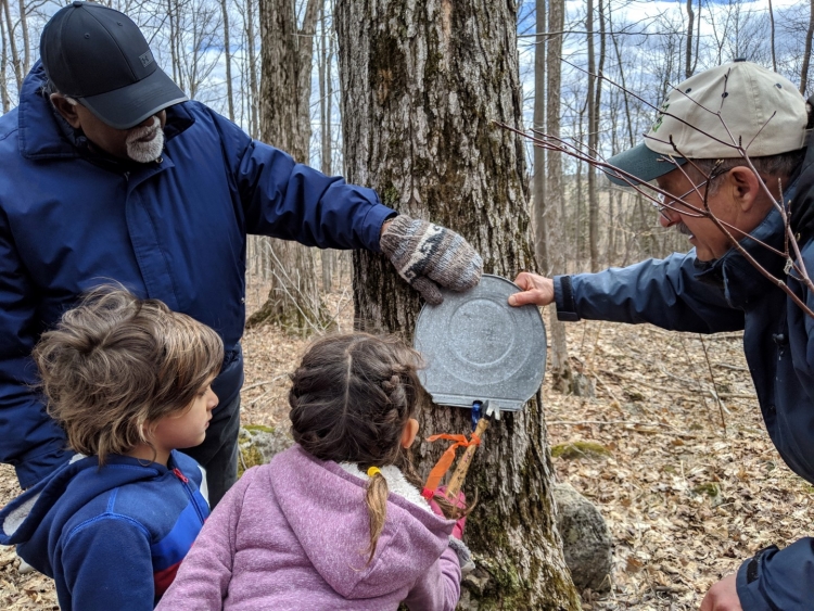 visiting a sugar bush in ontario, maple tour Ontario, maple tour grey county, where to learn about maple in Toronto, toronto road trips