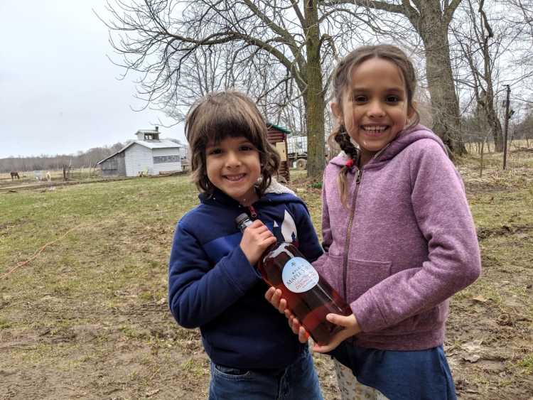 dejong acres maple syrup grey county 