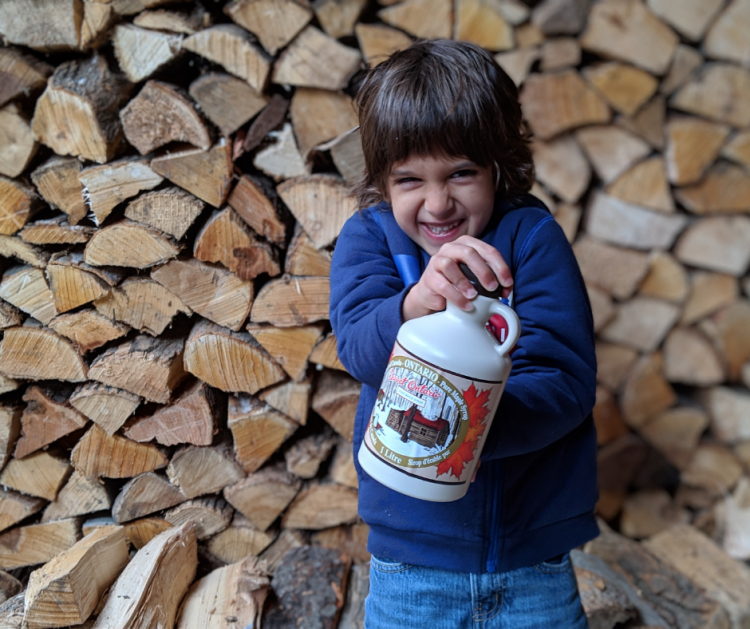 Travelling with kids for maple syrup season